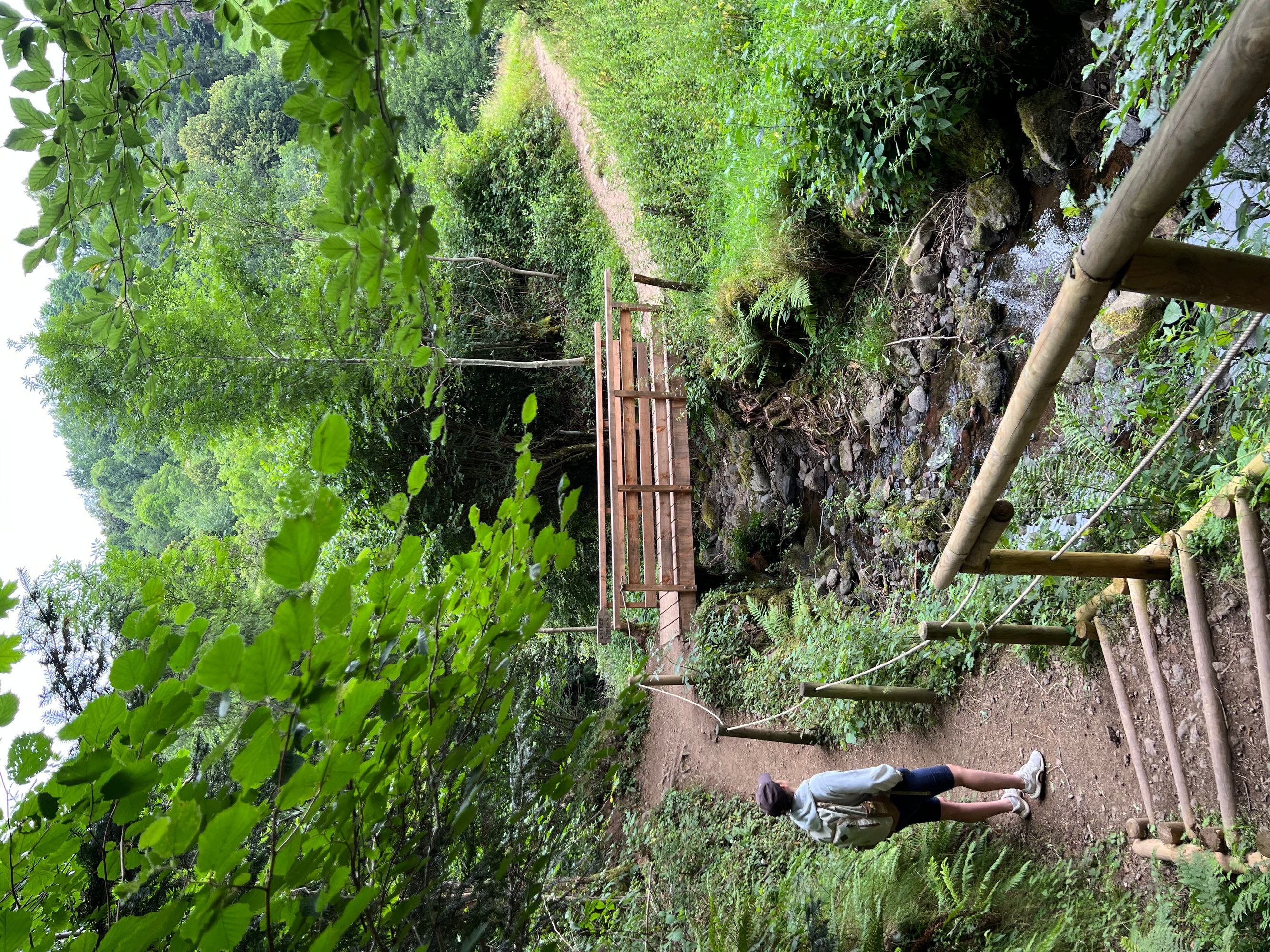 Gorges de la Jordanne dans le Cantal