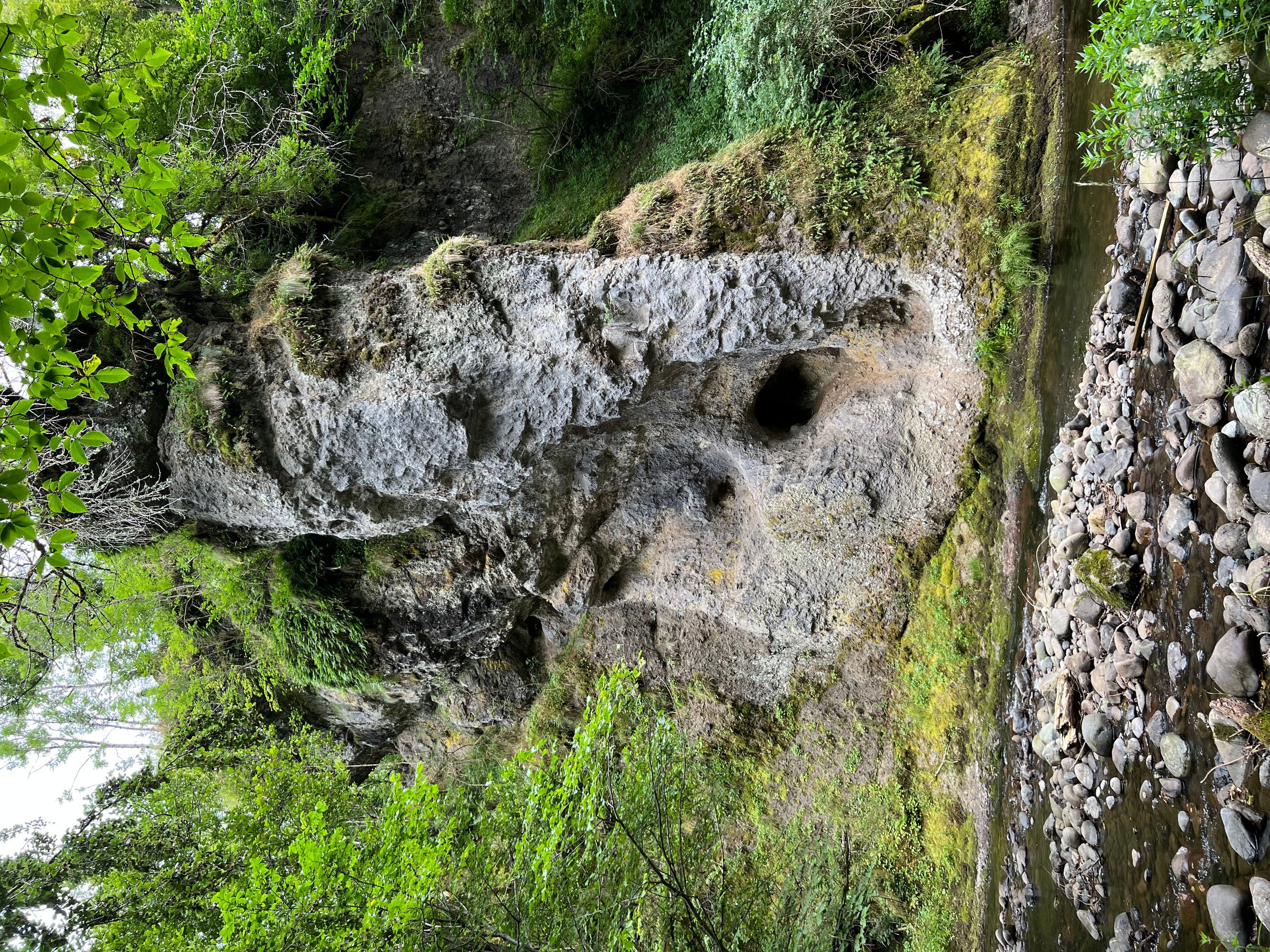 Rocher forme éléphant Gorges de la Jordanne