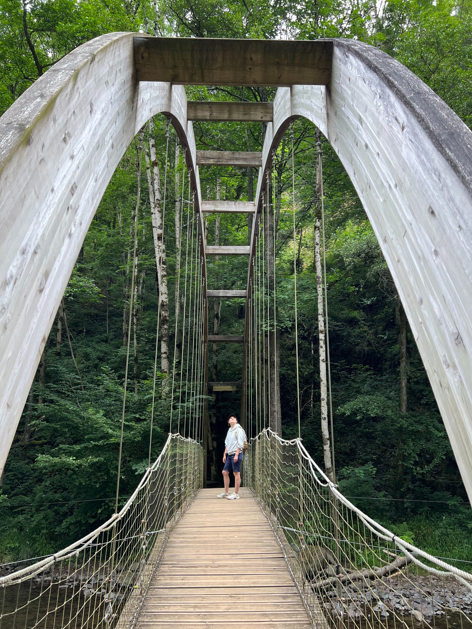 Photo au coeur des Gorges de la Jordanne