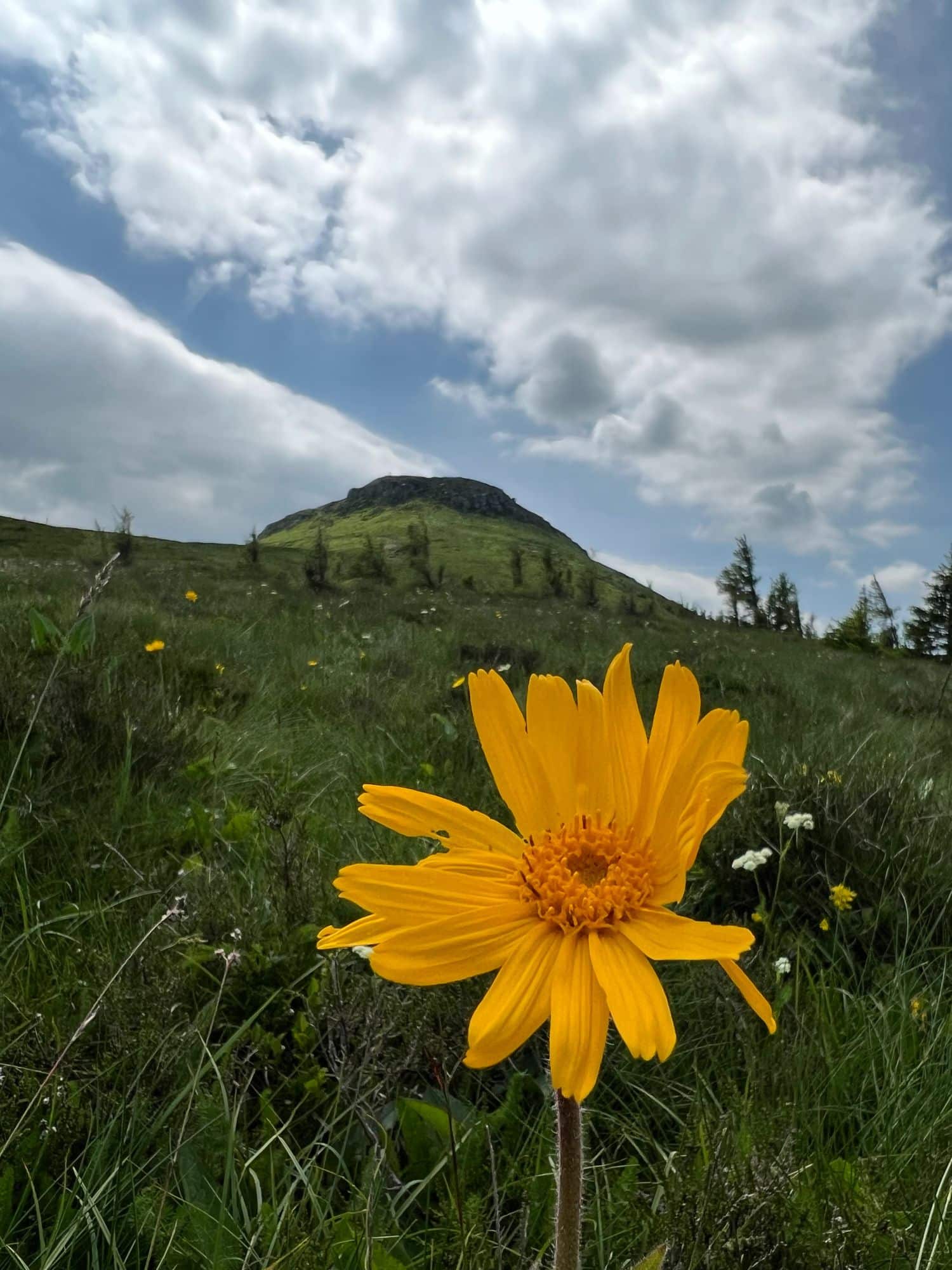 Le Puy de Chambourguet à Super-Besse en Auvergne