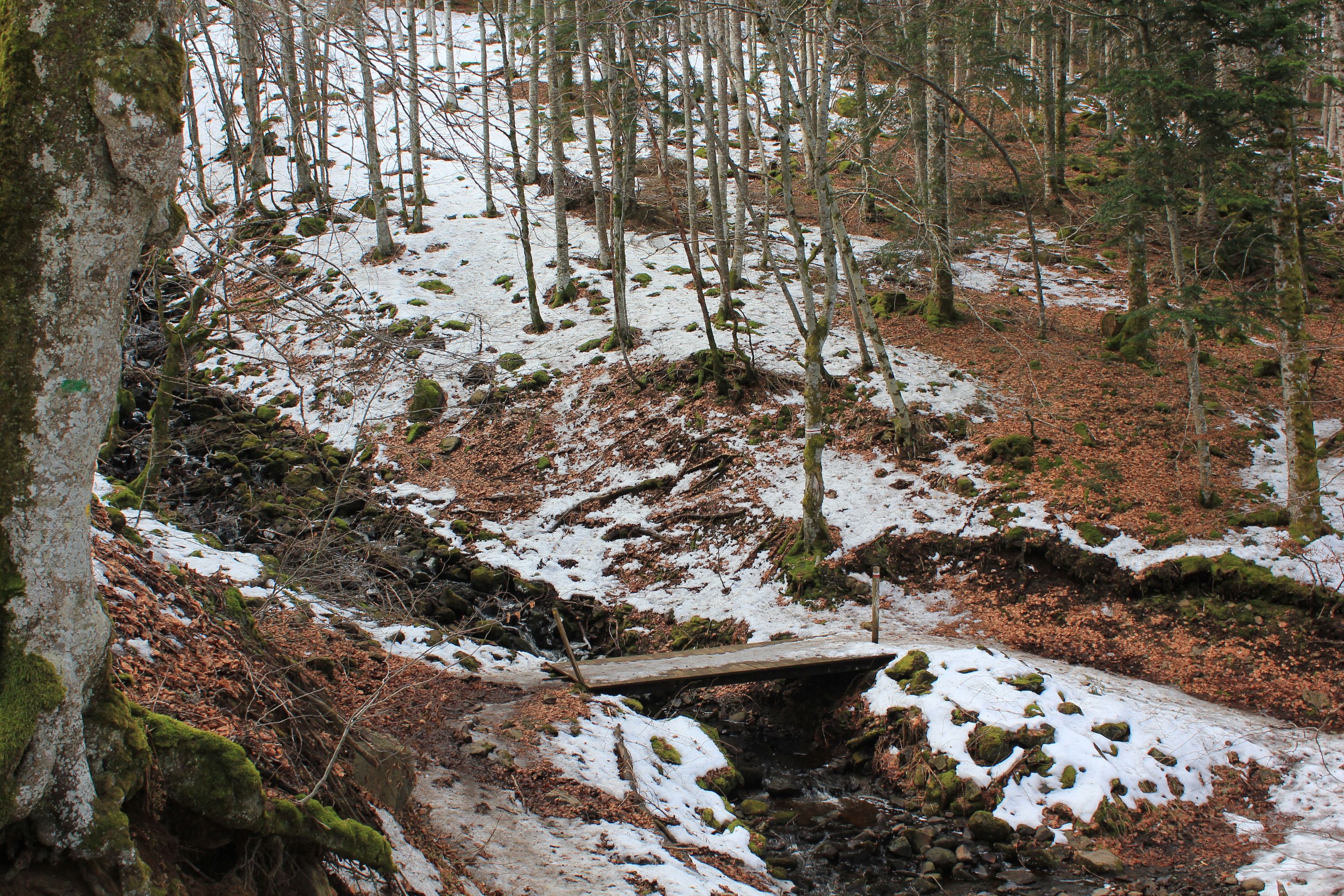 Sentier du Lac Chauvet