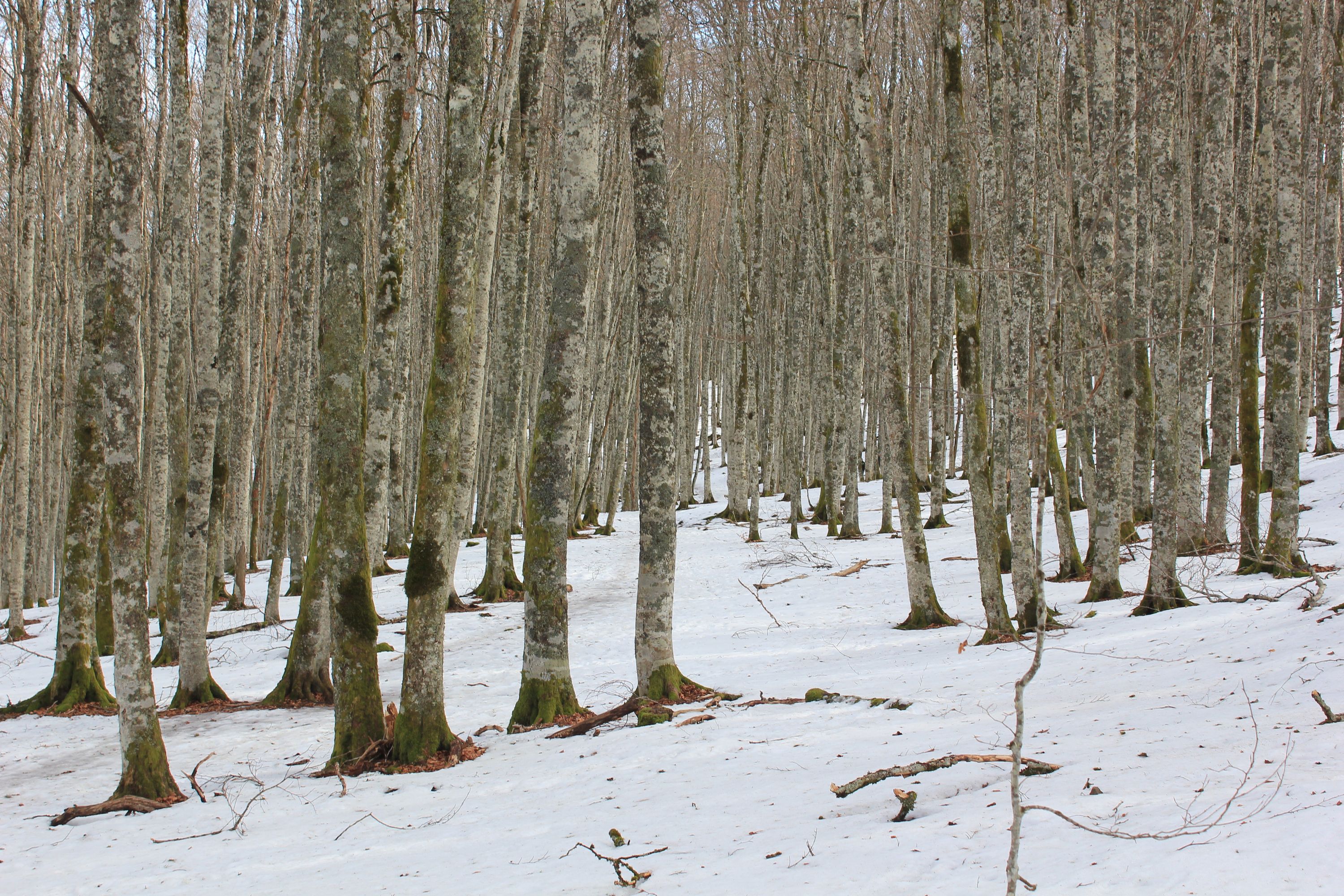 Sentier du Lac Chauvet