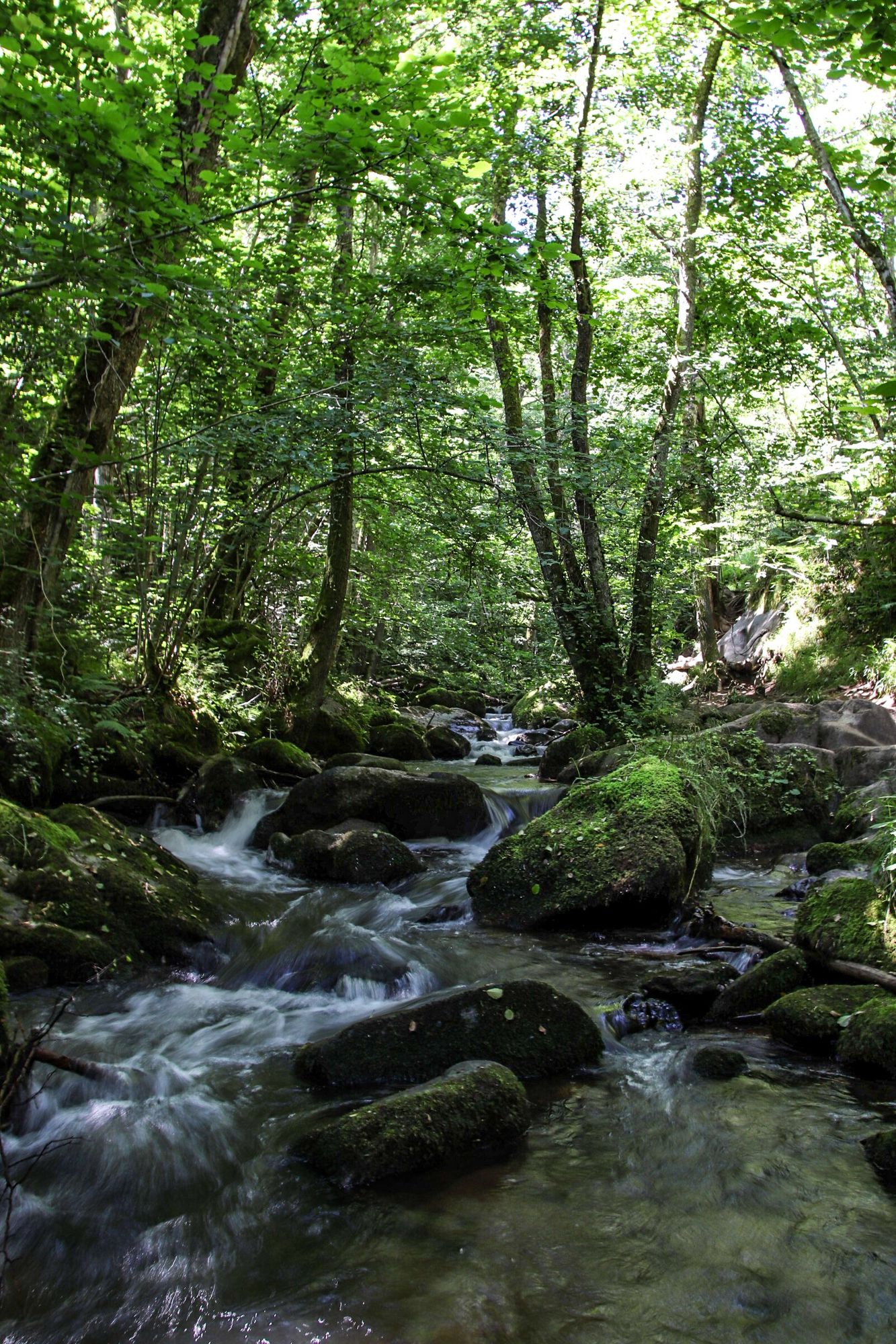 Les gorges de la Monne dans le Puy-de-Dôme