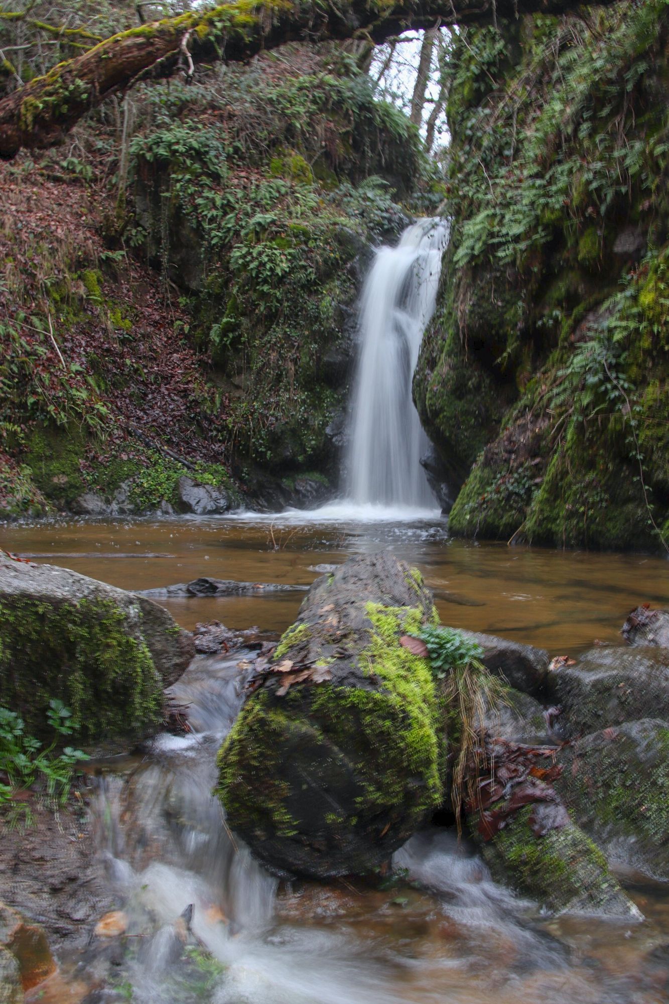 Les Gorges d'Enval dans le Puy-de-Dôme