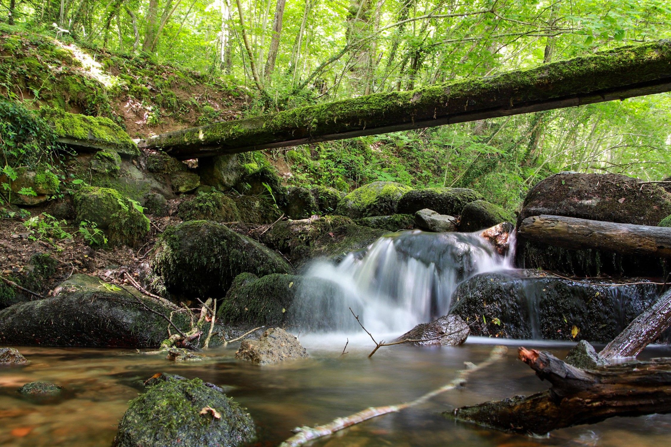 La Vallée de Sans-Souci dans le Puy-de-Dôme