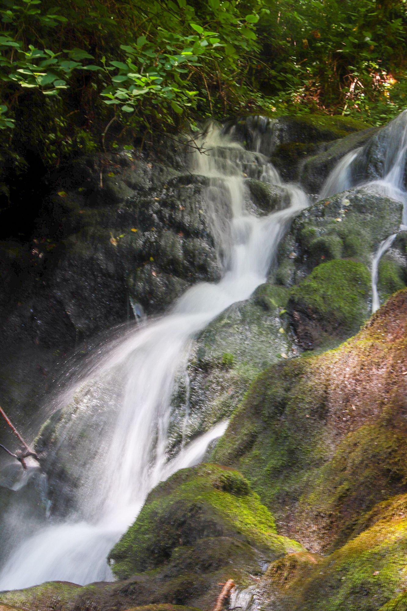 La cascade de l'Ecureuil Vallée de Sans-Souci