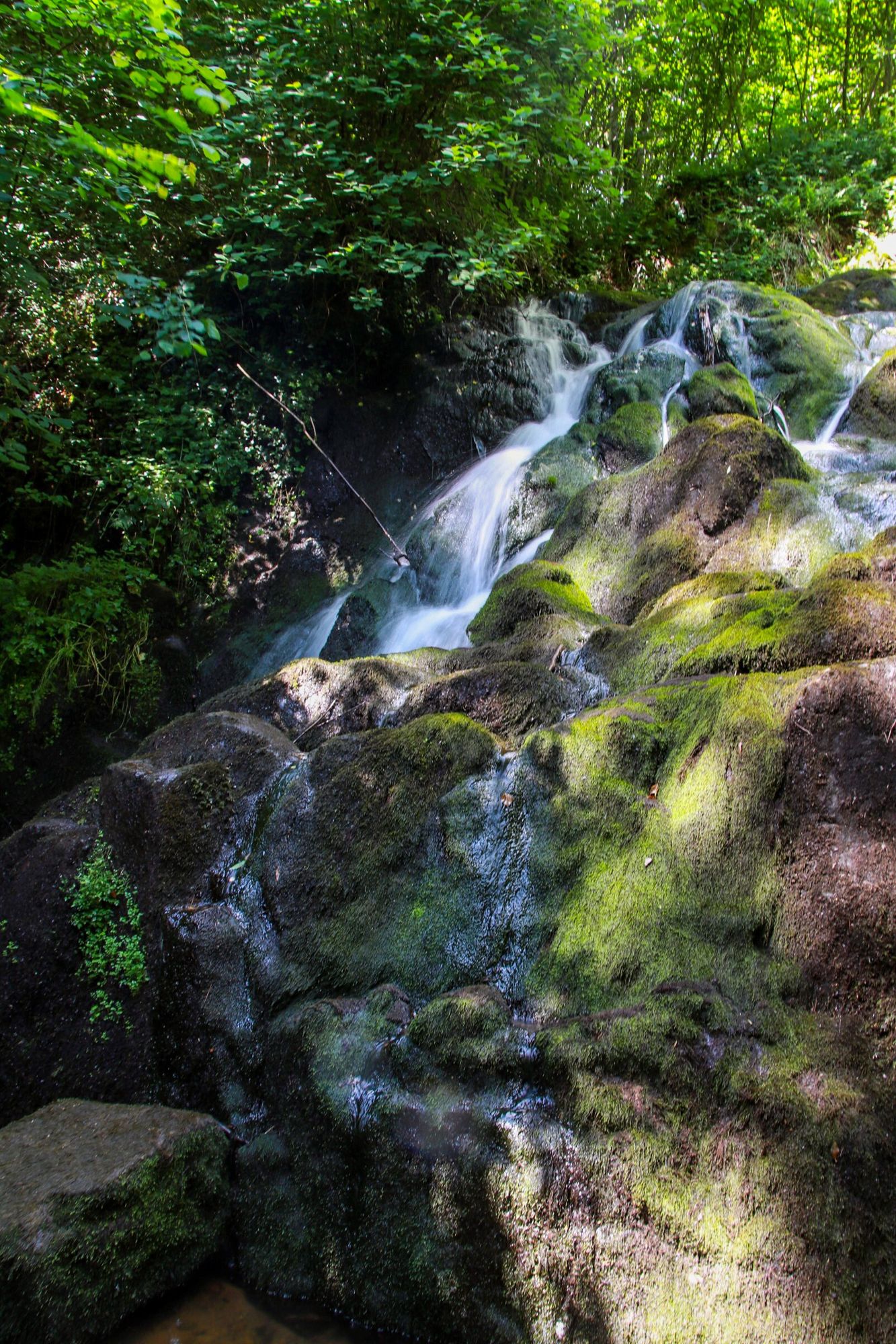 La cascade de l'Ecureuil Vallée de Sans-Souci