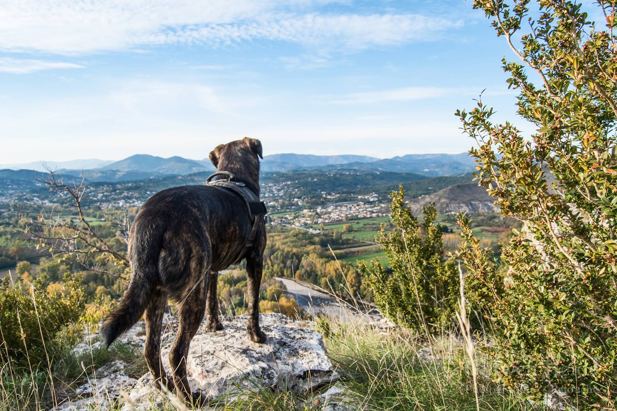 Panorama sur la rivière ardèche, belvédère, point de vue, spot photo instagrammable