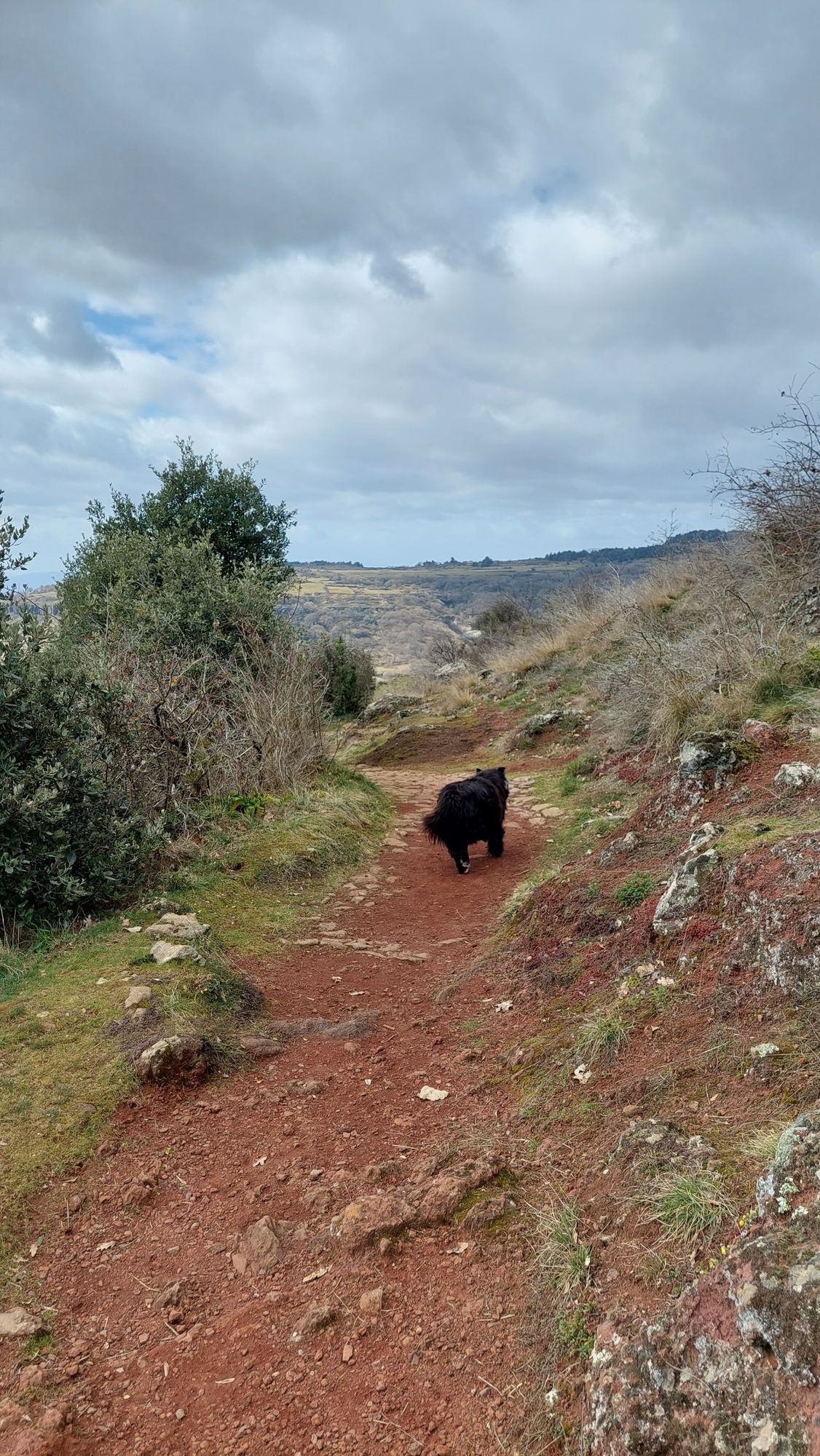 Visite avec son chien en Ardèche