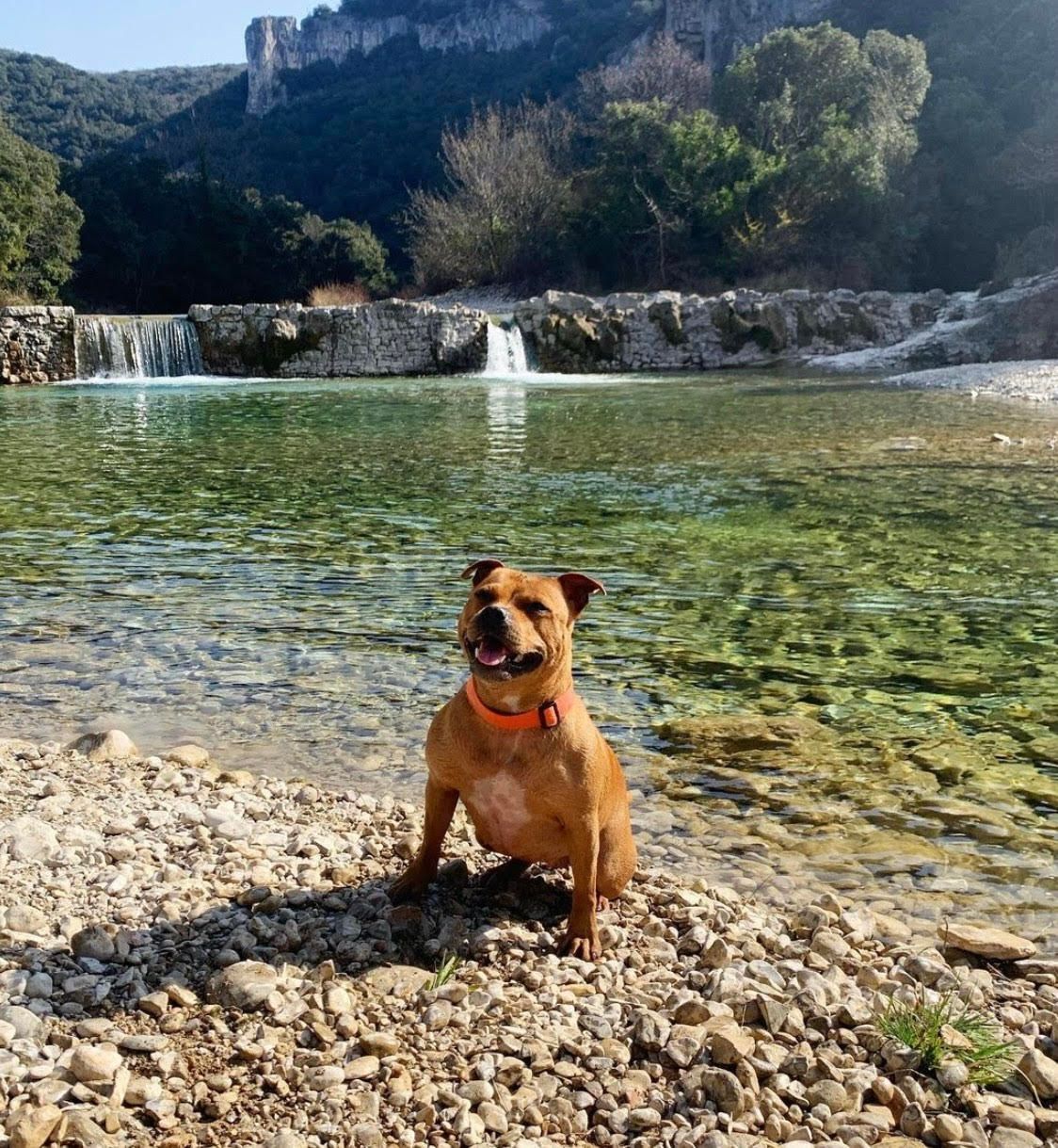 Trou de la lune, vallée de l'Ibie, St Maurice d'Ibie, rivière en Ardèche, baignade avecv son chien