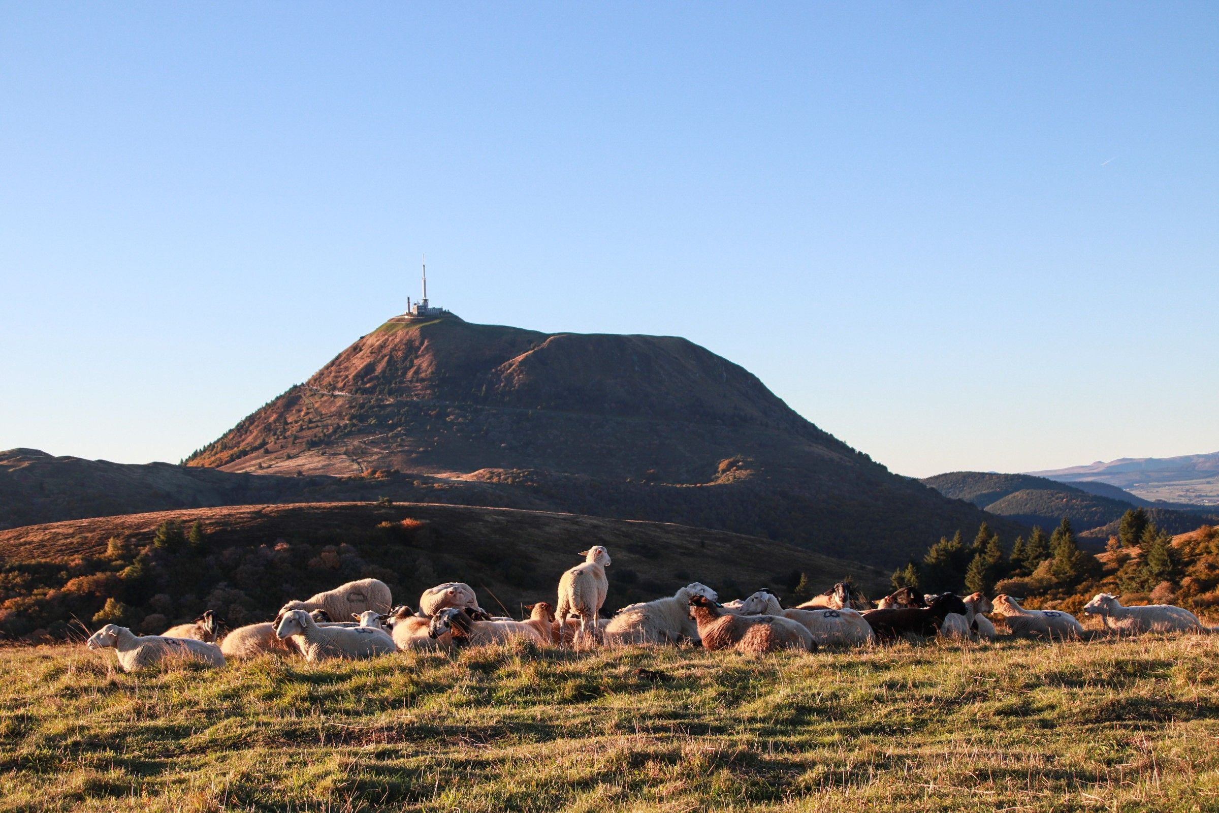 Vue sur le Puy de Dôme, Puy de Cliersou, pastoralisme, automne, lever du soleil