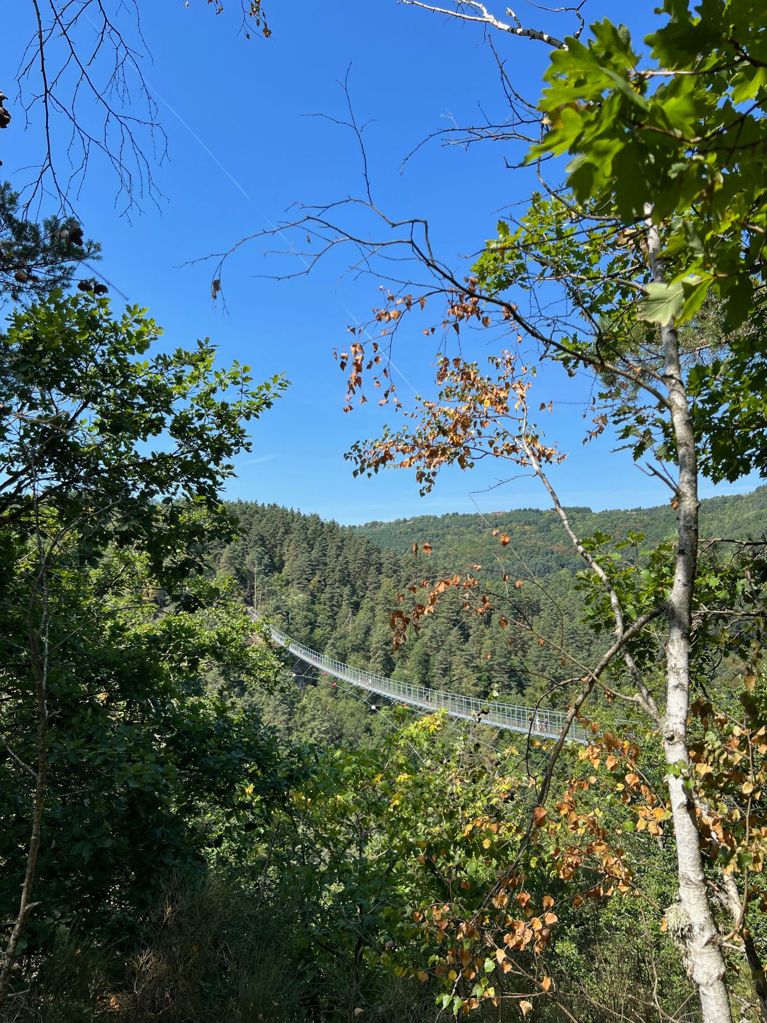 Vue depuis le Belvédère des Gorges Du Lignon