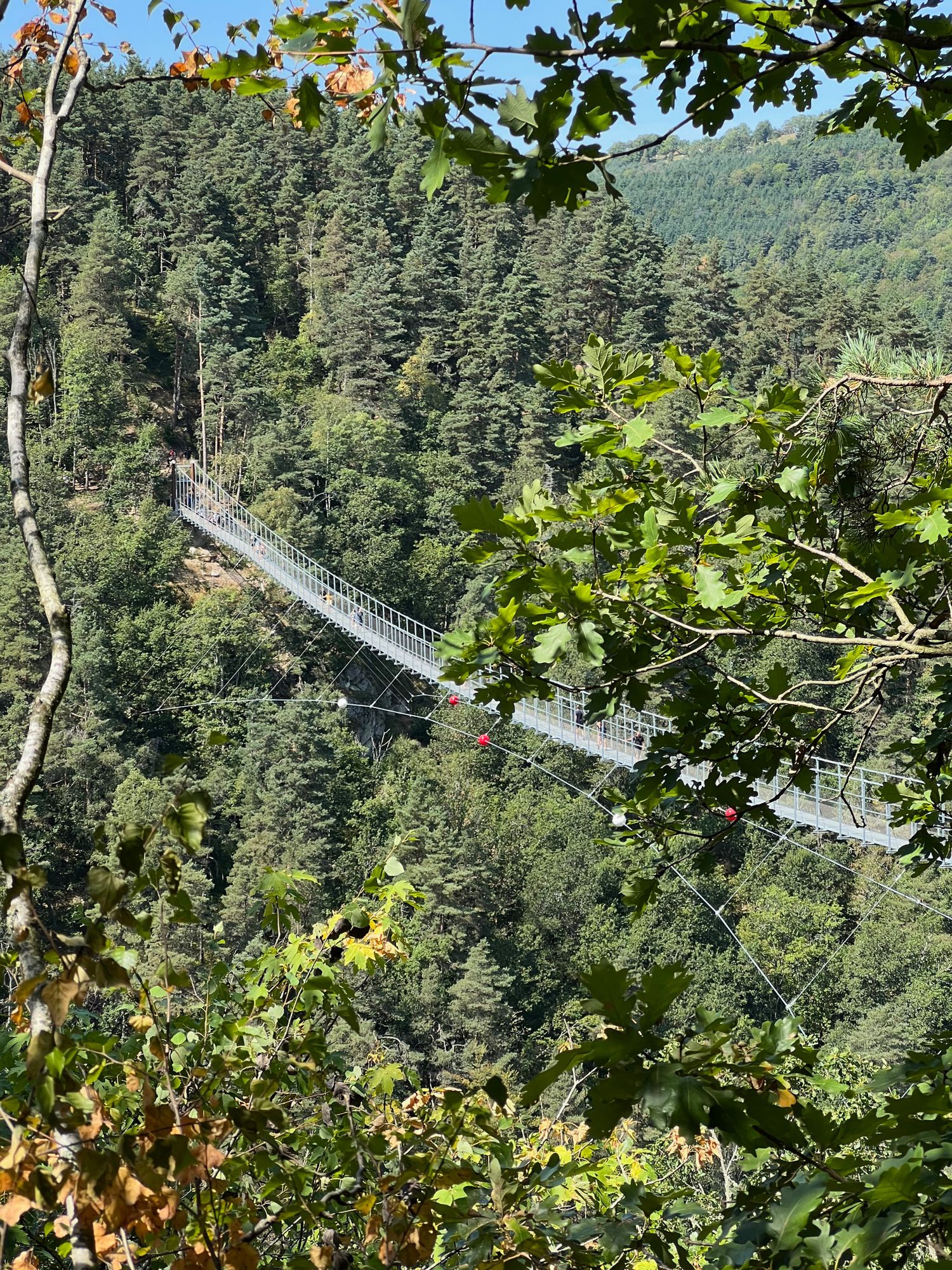 Passerelle des Gorges Du Lignon à proximité de Saint-Maurice-De-Lignon