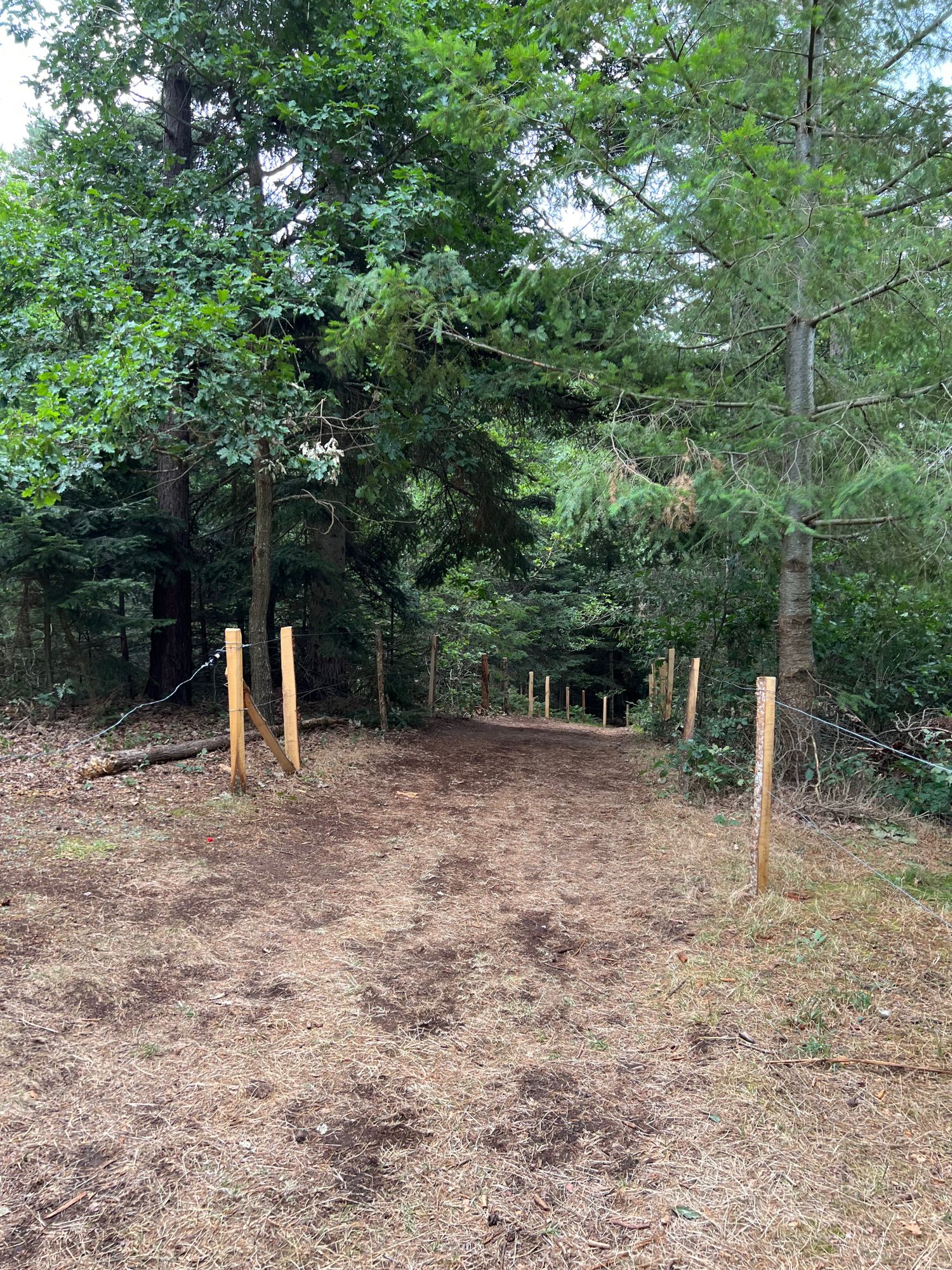 Sentier pour aller à la passerelle des gorges du LIGNON en Haute-Loire