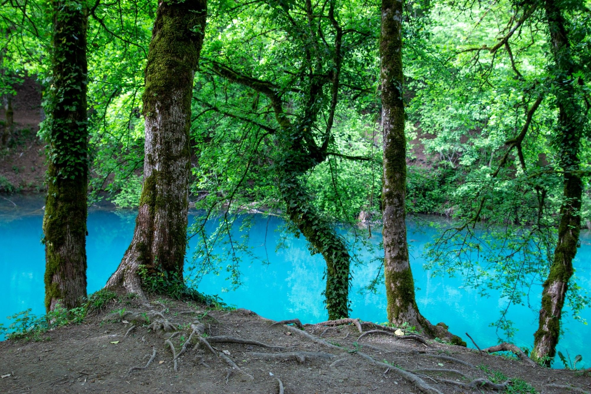 Le lac bleu à Ambérieu en Bugey