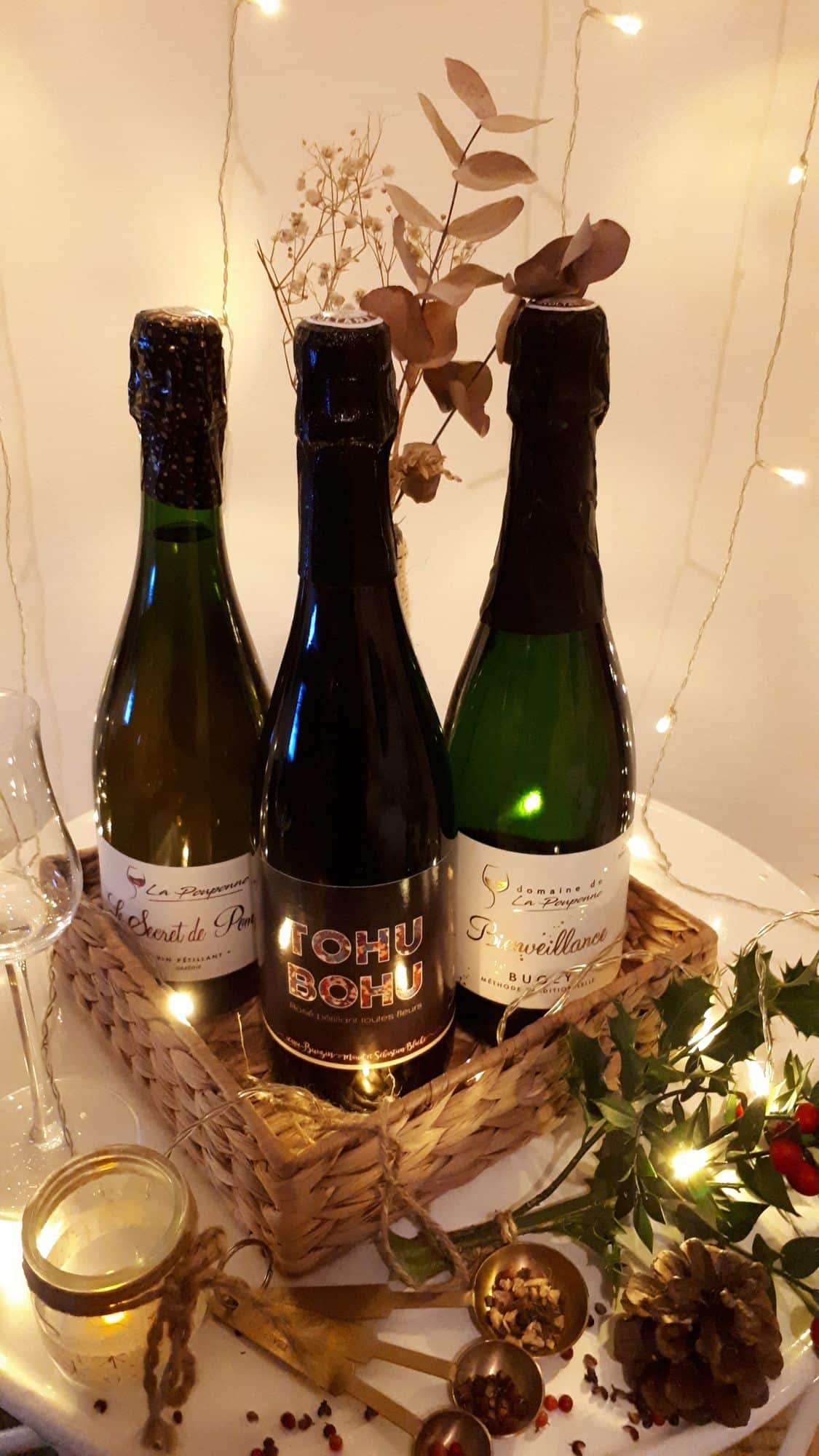 Vins du Bugey par des producteurs indépendants en Bio ou vins naturels dans les vignes du Bugey (Ain)