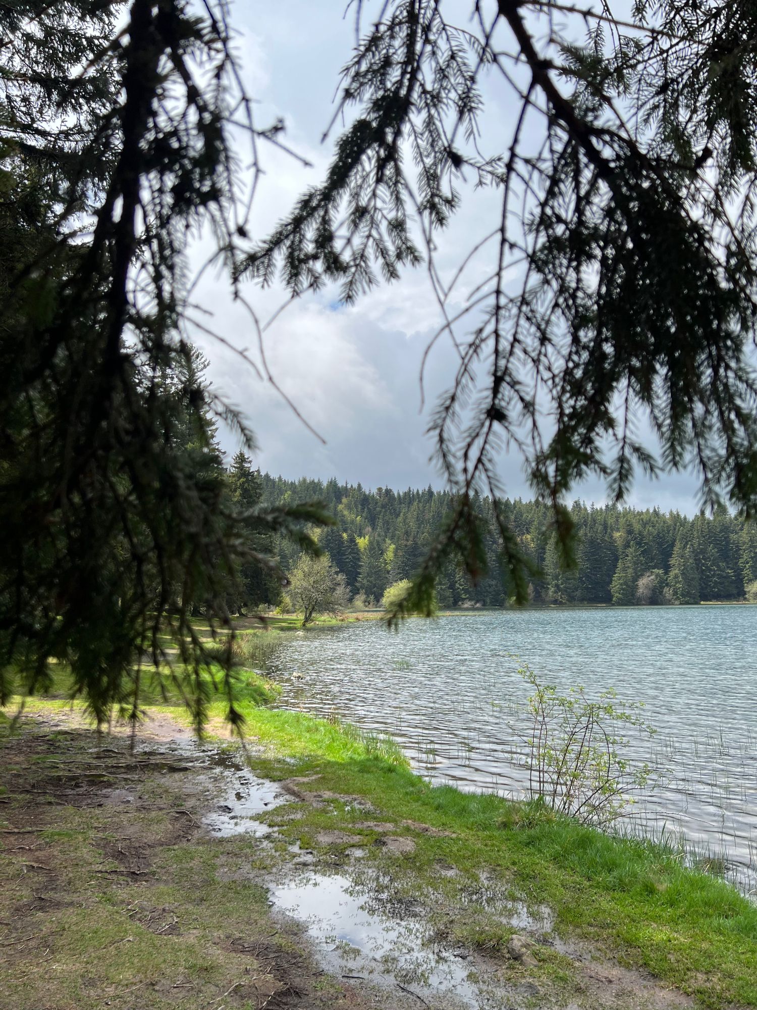 Sentier autour du Lac de Servières