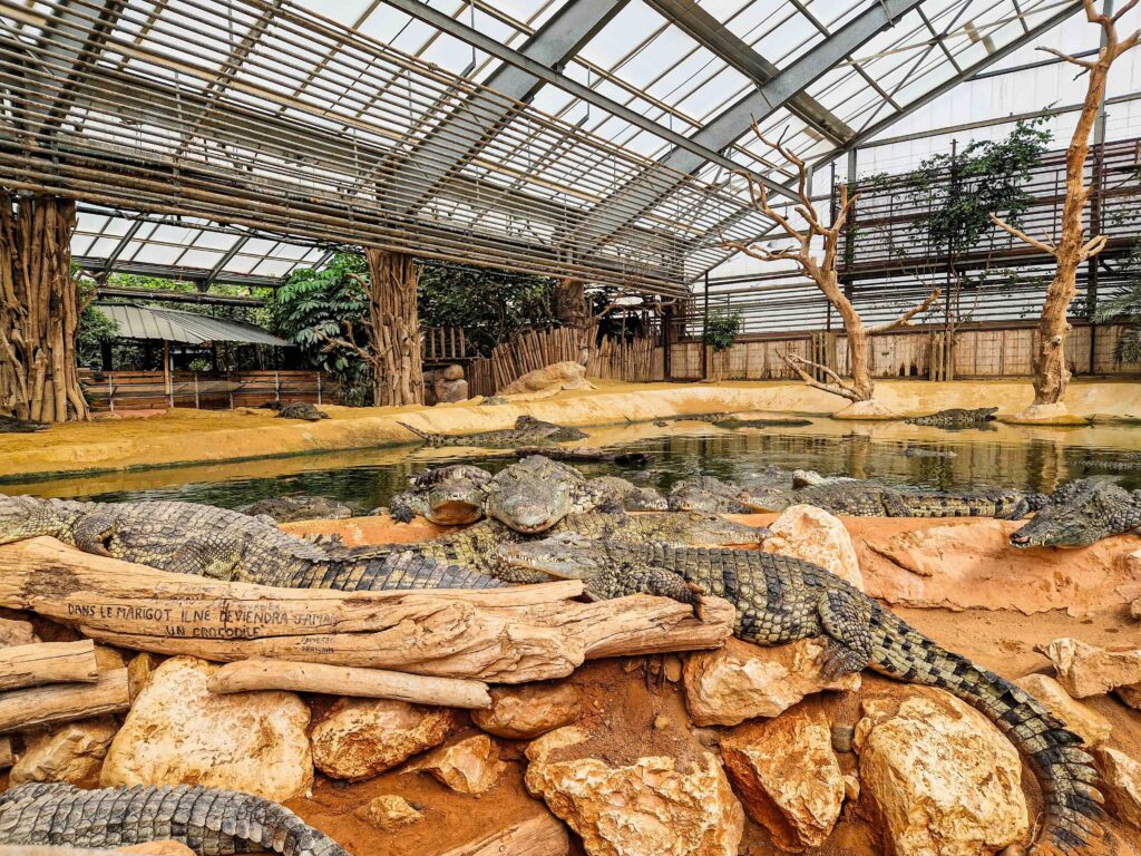 La Ferme aux crocodiles, Pierrelatte - Drôme Provençale
