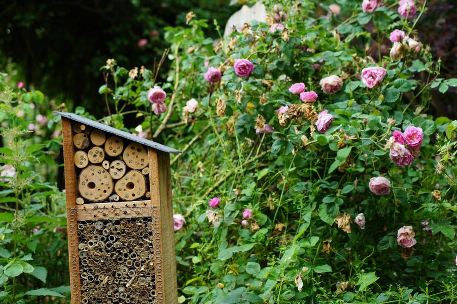 Visite du jardin des plantes à couleurs