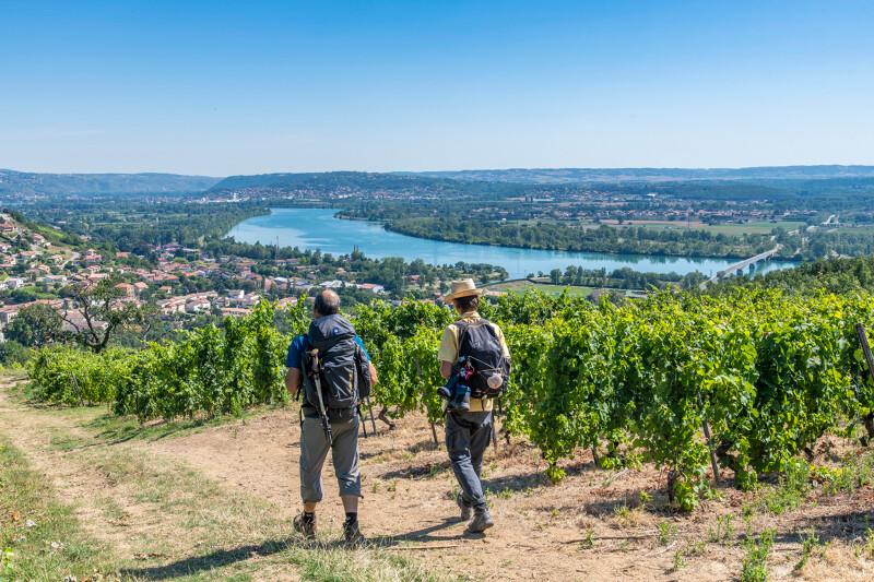 Deux randonneurs dans les vignobles sur les chemins de Saint Jacques de Compostelle