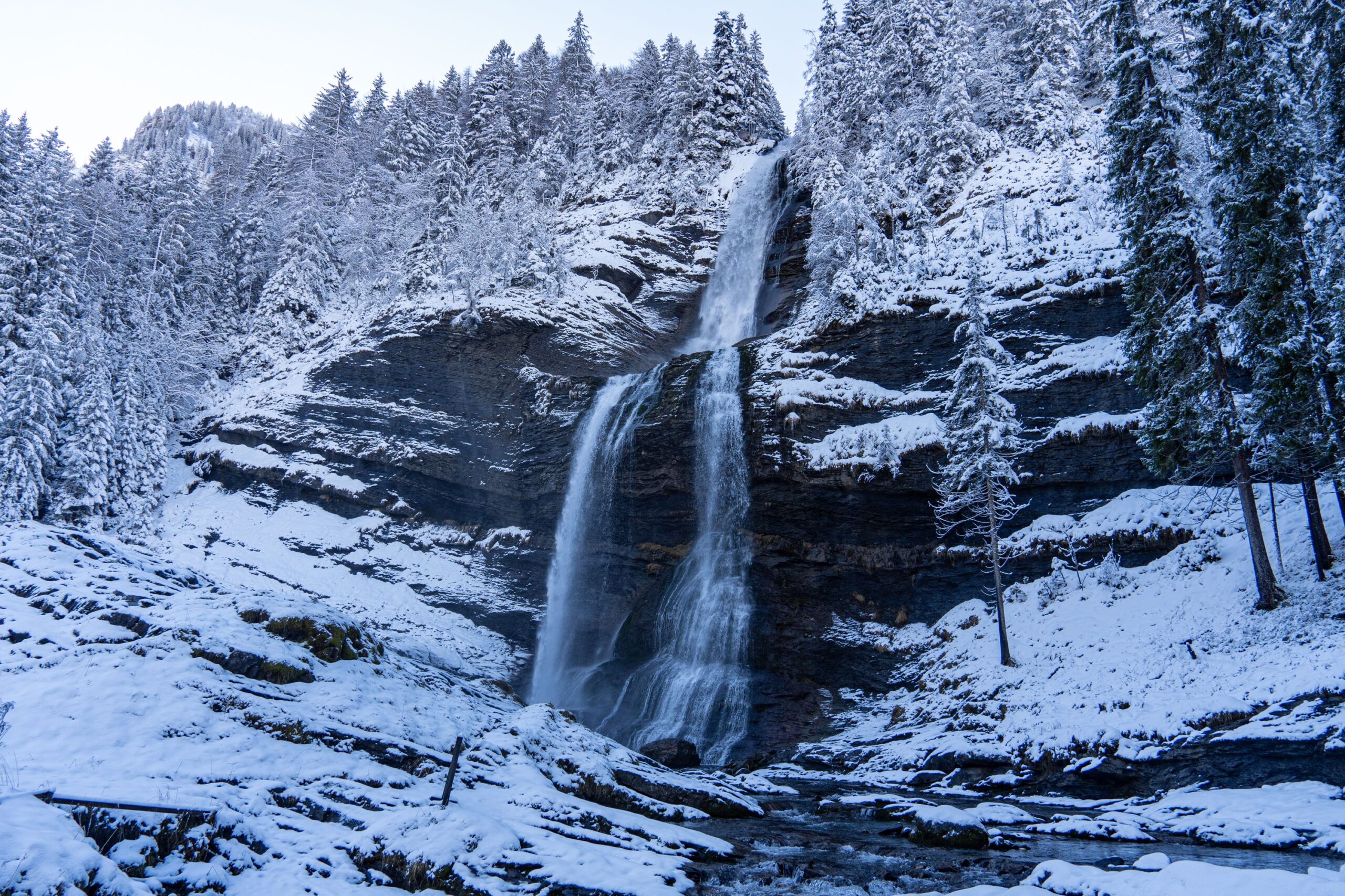 cascade rouget