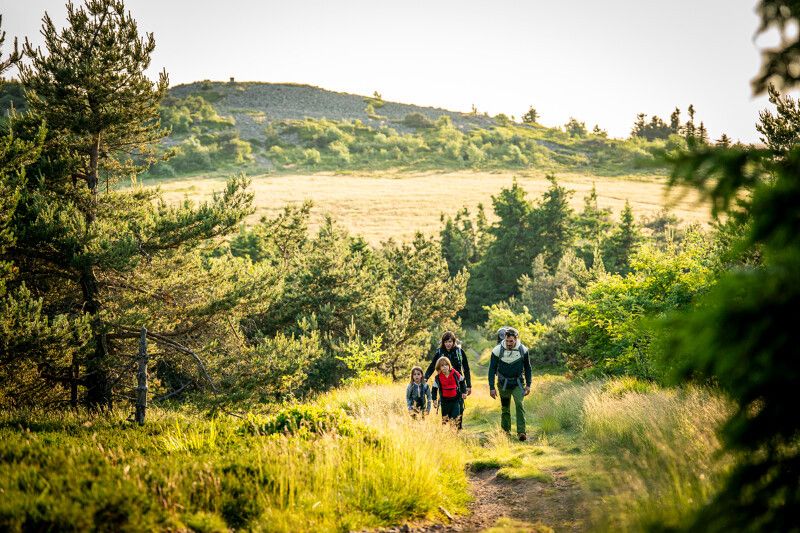 Randonneurs en pleine nature dans le parc naturel régional du Pilat