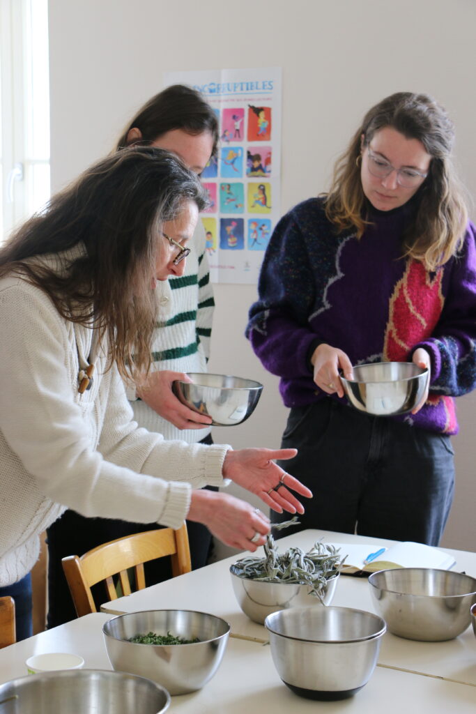 atelier producteur confection tisane à beaujeu en beaujolais