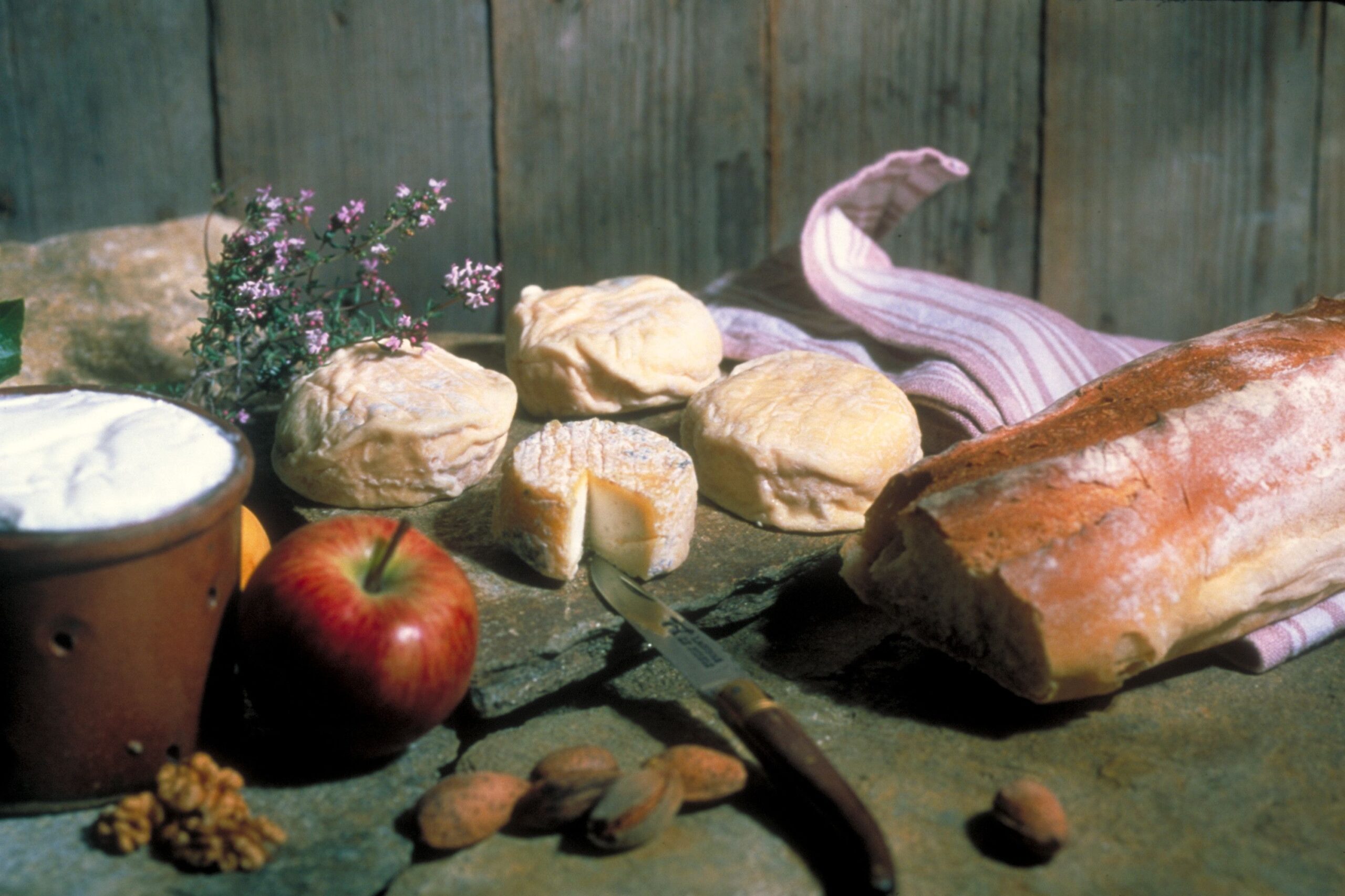 assortiment de fromages d'ardèche