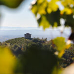 Un Fascinant Week-end en Auvergne-Rhône-Alpes