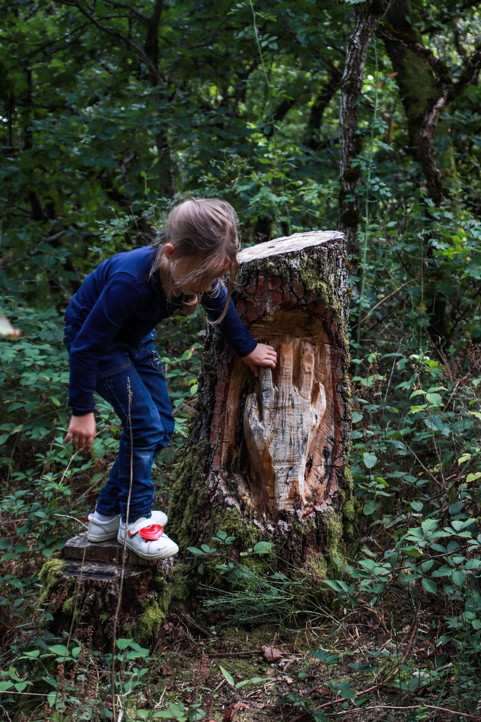 Une des sculptures en bois de Châtel-Guyon dans le Puy-de-Dôme à découvrir en famille.