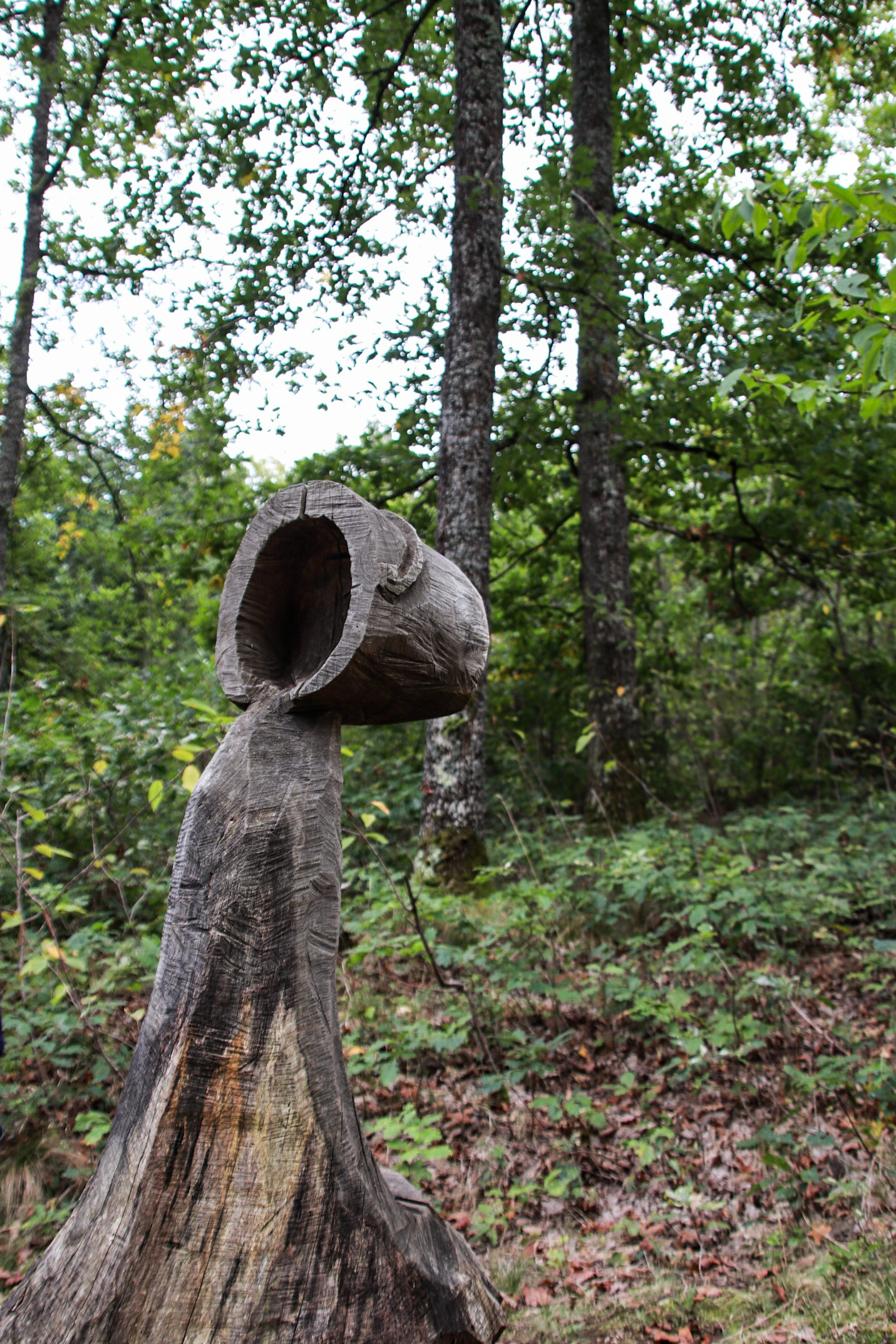 Une des sculptures en bois de Châtel-Guyon dans le Puy-de-Dôme à découvrir en famille.