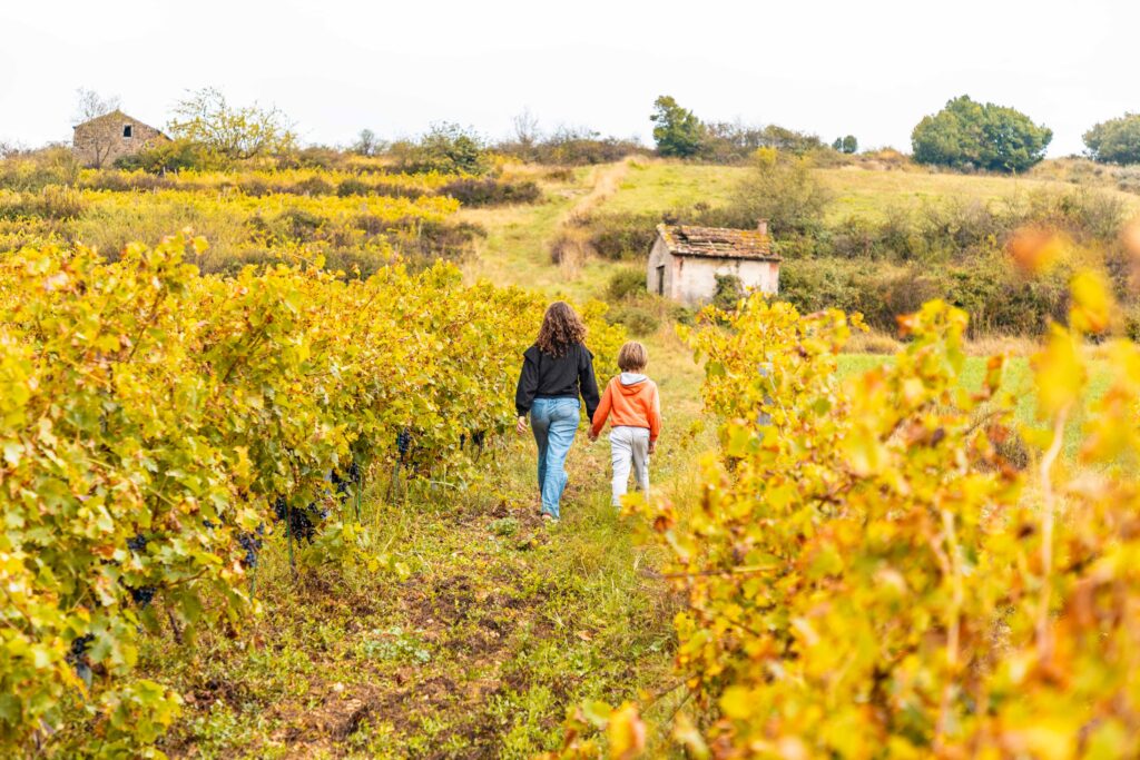 Partir au coeur des vignobles ardéchois le temps d'un week-end en famille. 