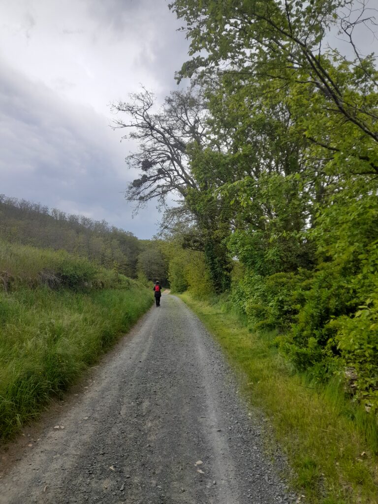 Sentier de randonnées