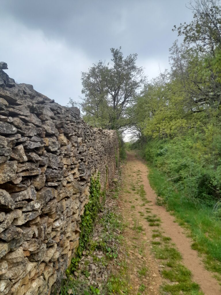 sentier, à Theizé, village des pierres dorées