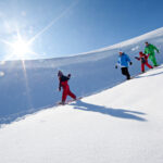 5 sorties raquettes en famille pour observer les animaux