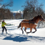 7 activités insolites à tester en hiver 