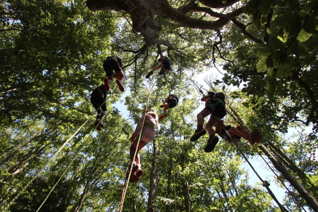 Personnes réalisant une activité dans les arbres avec l'organisme Sambala et Baobab