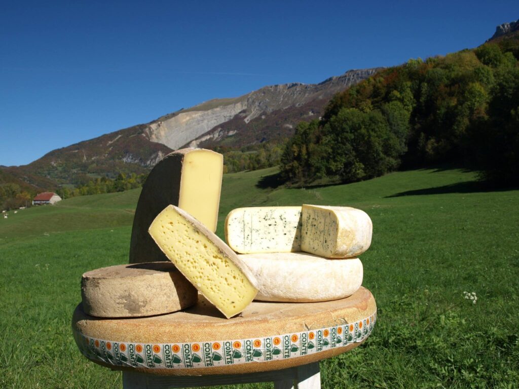 4 fromages présentés sur une table avec les montagnes de l'Ain en fond