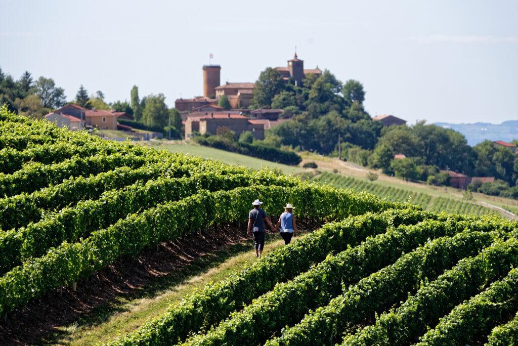 Deux personnes dans les vignobles du Beaujolais, Rhône