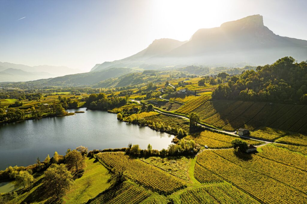 Vignobles de Savoie près de Chambéry (73)