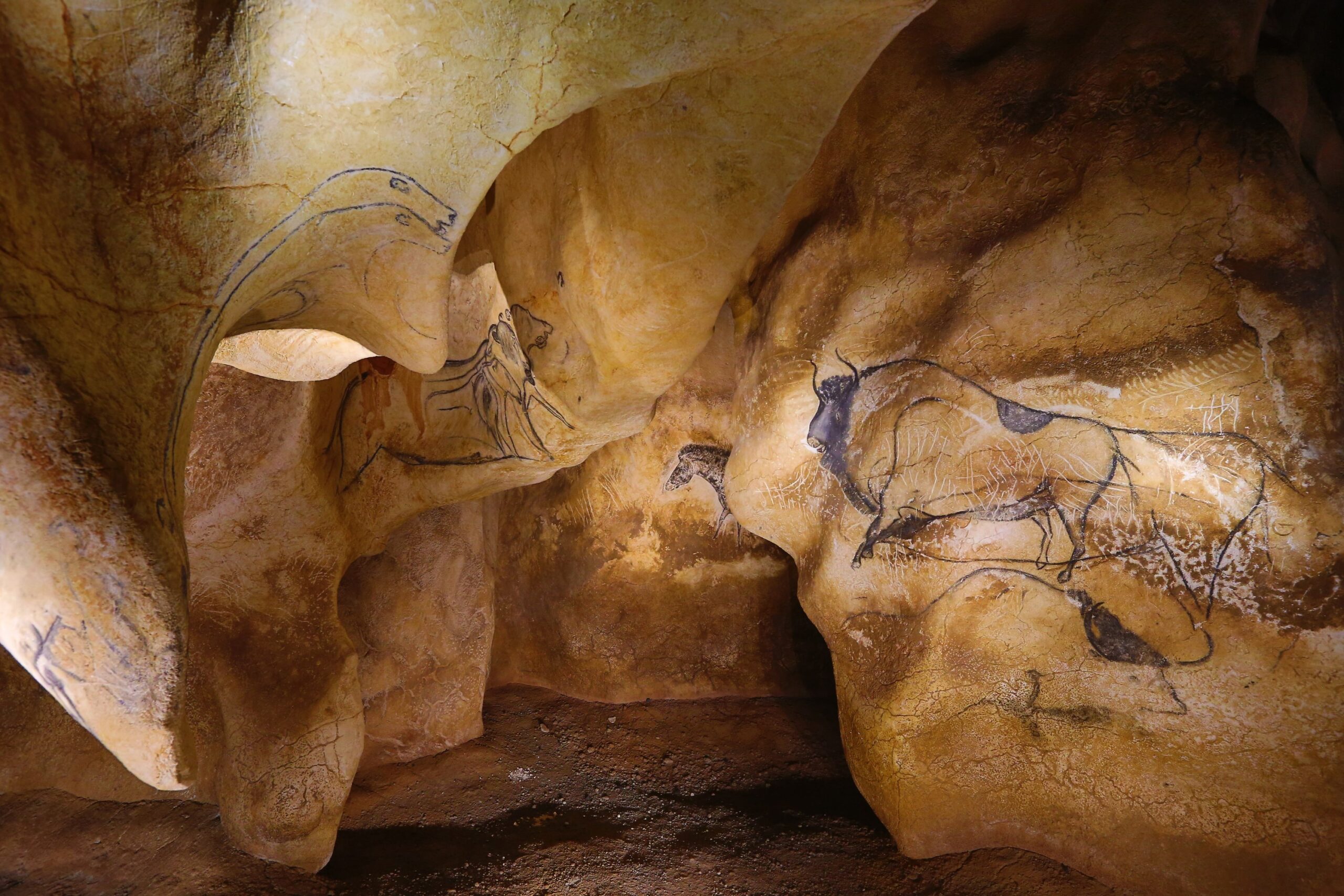 Peintures préhistoriques dans la grotte Chauvet dans les Gorges de l'Ardèche