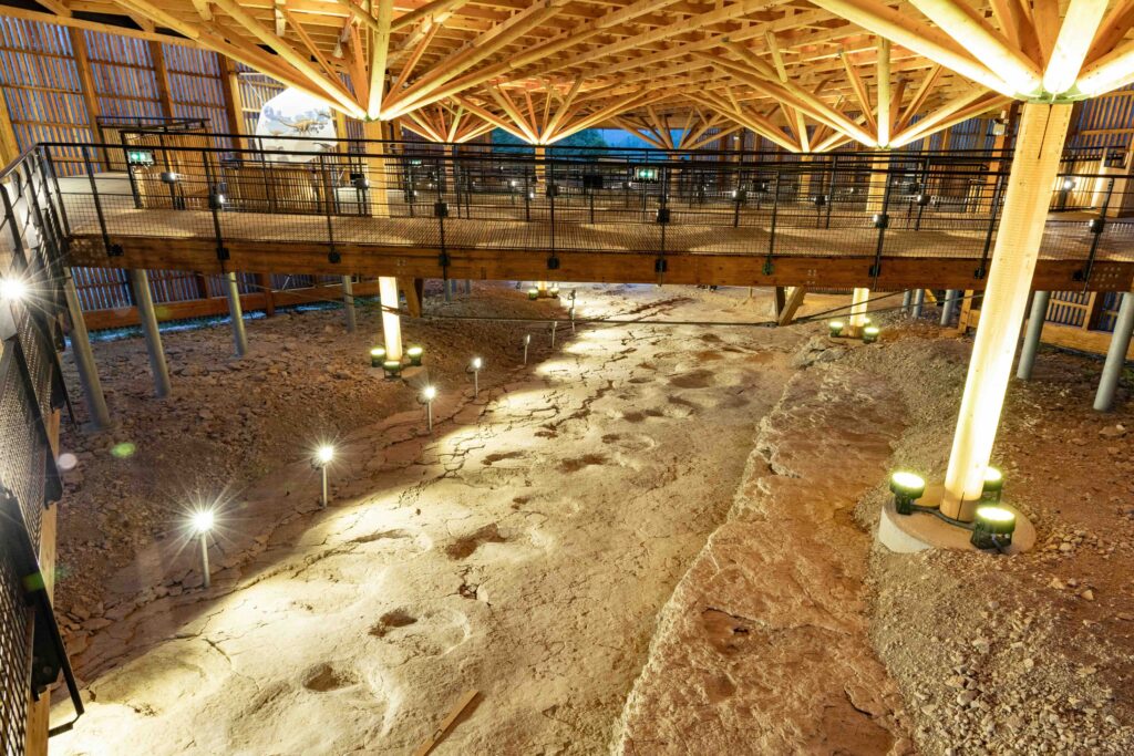 Dinoplagne© de nuit, à Plagne dans l'Ain - Terre Valserhône