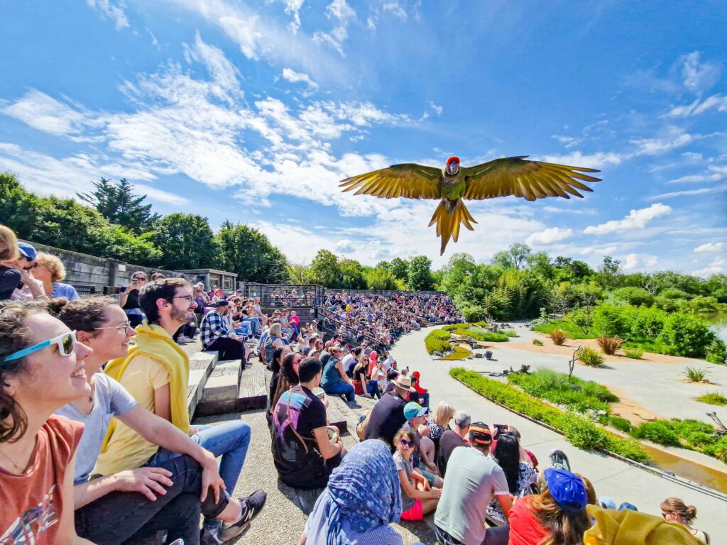 Parc des oiseaux à Villars-les-Dombes