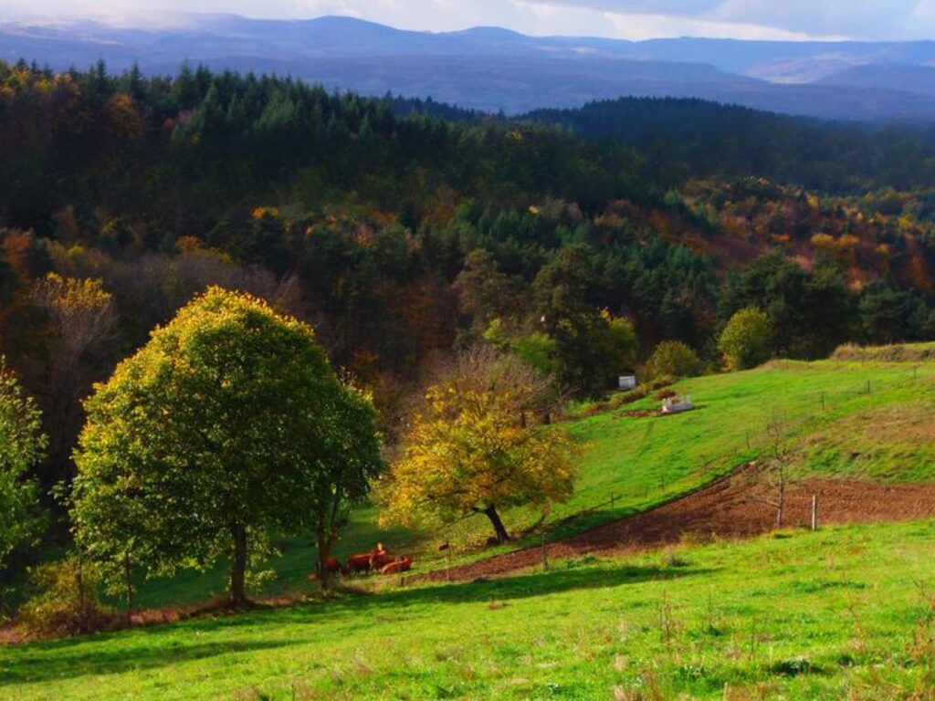 Vue depuis le Vallon d'Armandine, gîte dans le Livradois-Forez