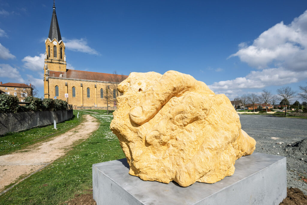 Mémoire Fossile d’Ugo Schiavi