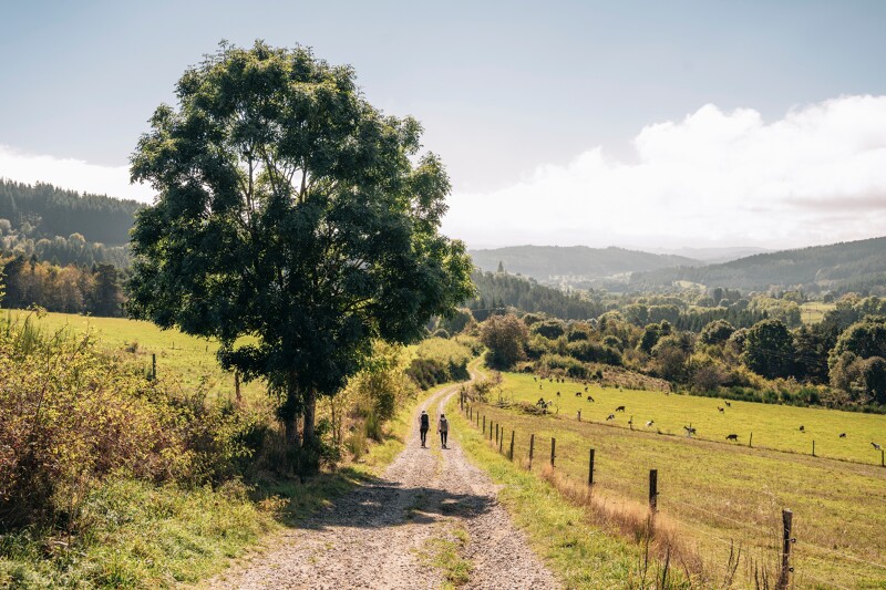 paysage dans la Loire