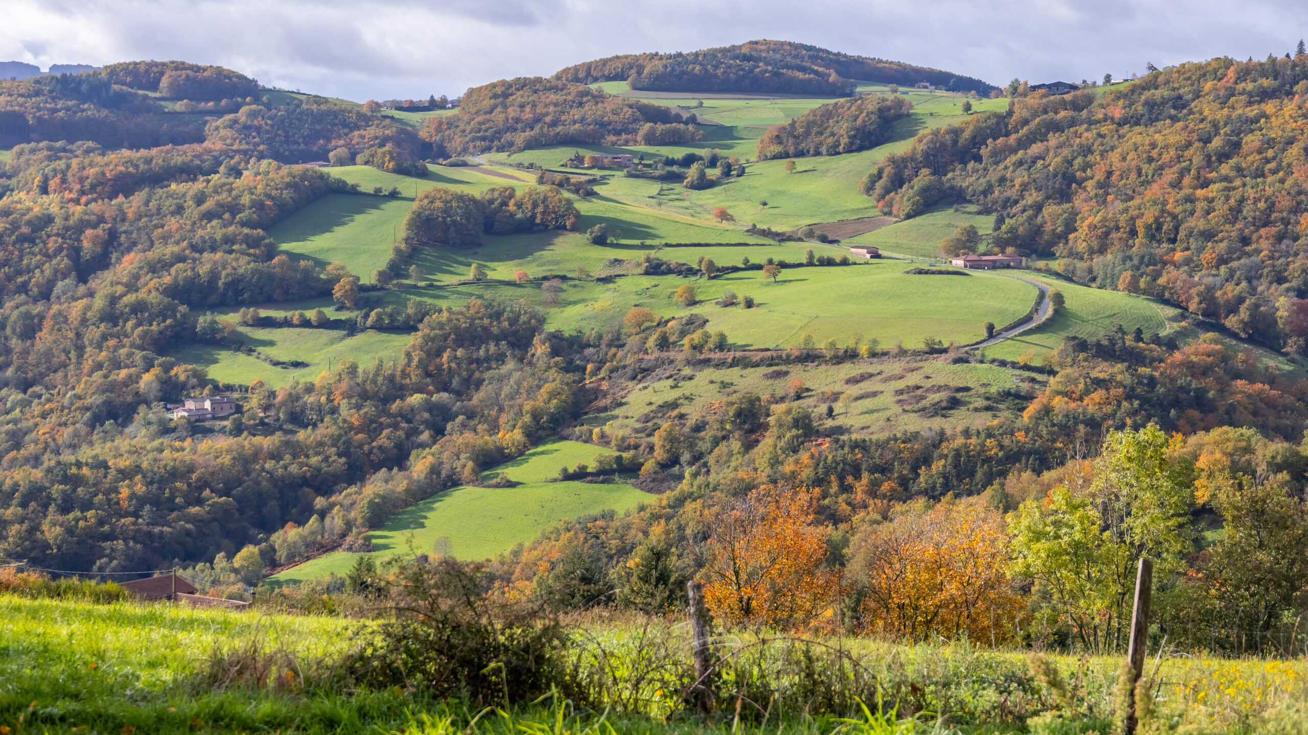 Paysage vallonné de campagne en automne avec collines verdoyantes, forêts colorées et fermes isolées