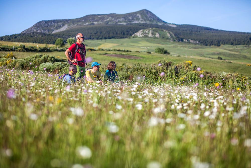 Randonnée dans le massif du Mézenc